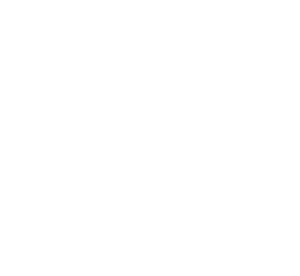 Baltschug hotel logo